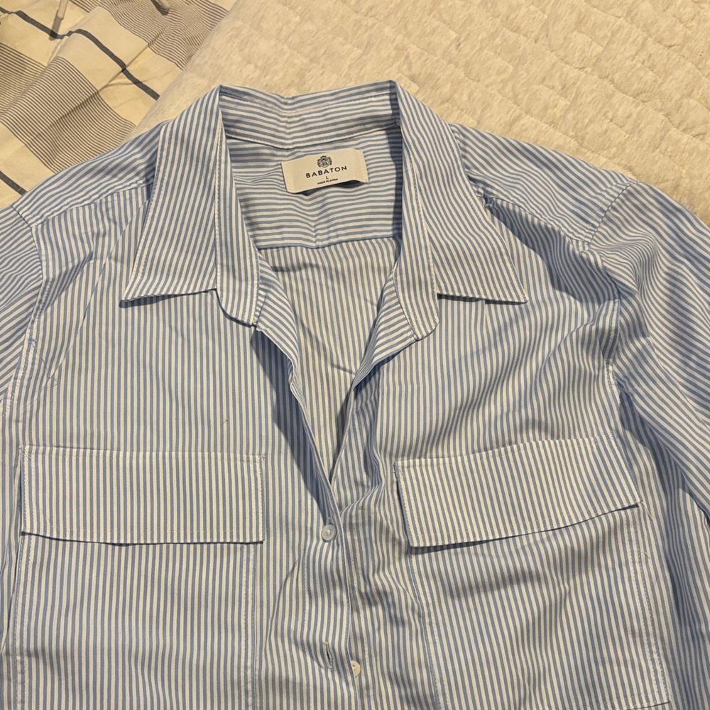 Babaton Aritzia Blue Striped Silk Blouse